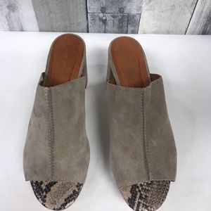 Platform Mule in Taupe Suede